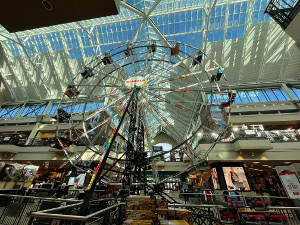 The ferris wheel is approximately 30 feet high and has about 20 cars.  The overhead lighting comes from skylights in the atrium roof.